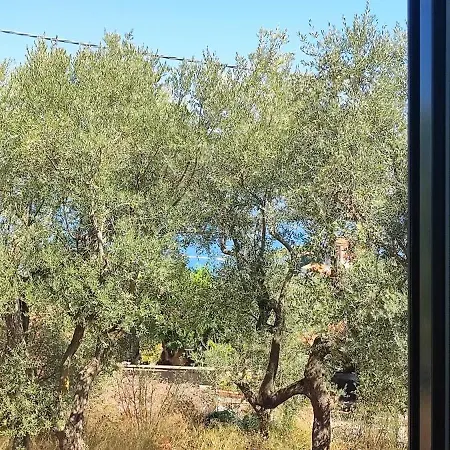 Lally's Garden Frühstückspension