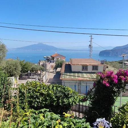 Lally's Garden Sorrent