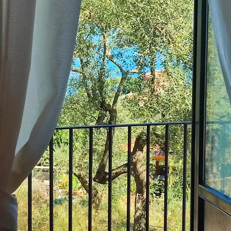 Lally's Garden Sorrento