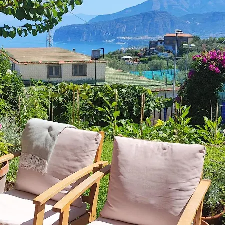 Lally's Garden Bed & Breakfast Sorrento