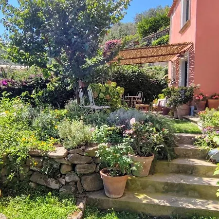 Lally's Garden 3*