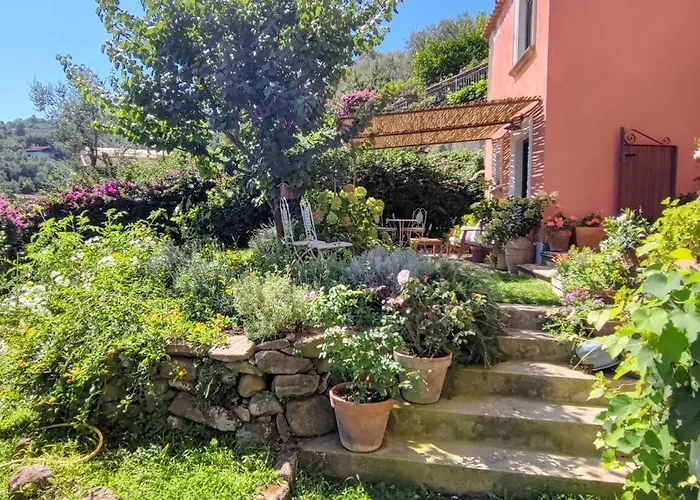 Lally's Garden 3*